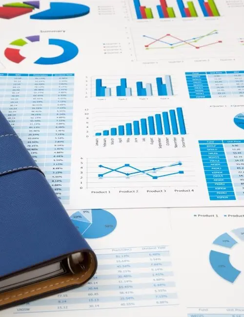 Charts and graphs showing MIS reports